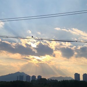 天賦潛能解讀工作坊 Giftedness & Potential Analysis Workshop