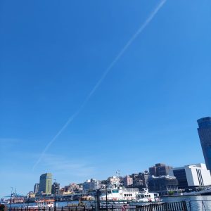 日本臼井靈氣療法初體驗 My First Usui Reiki Healing Experience